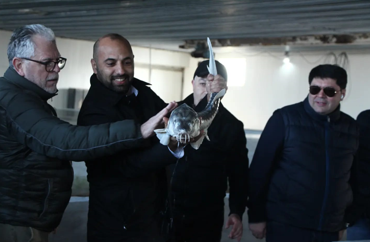 "F-Holding" MMC ilə “Energy İnfinity X” şirkətinin Neftçala rayonuna səfəri